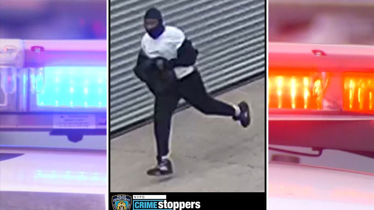 Staten Island: Dog Walker Shot at in Mariners Harber – NBC New York - Vimarsana News
