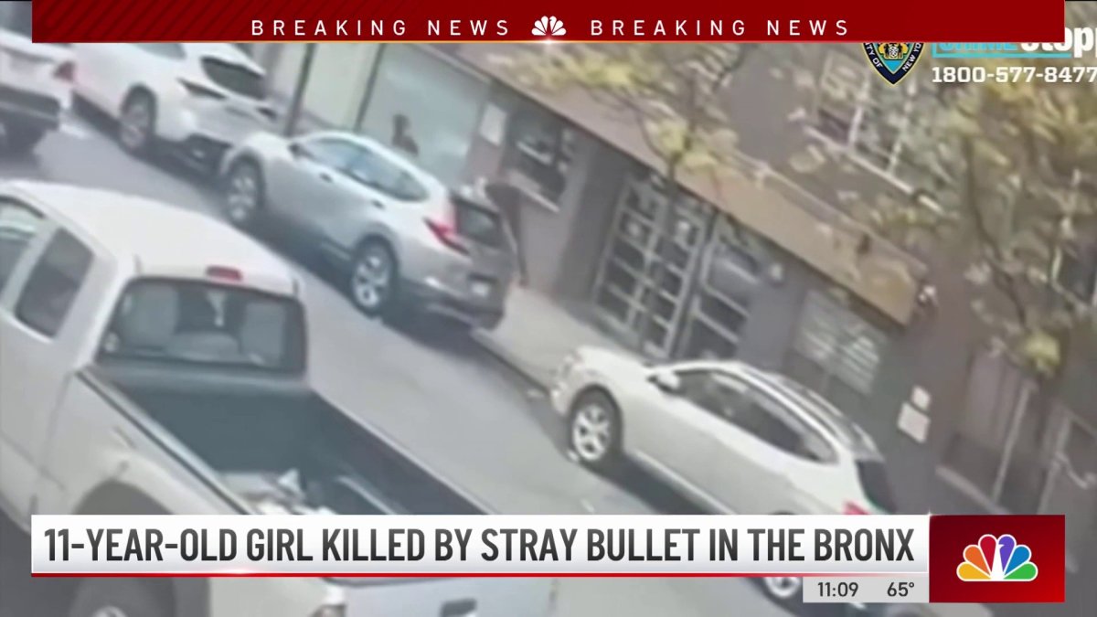 11-Year-Old Girl Killed by Stray Bullet – NBC New York