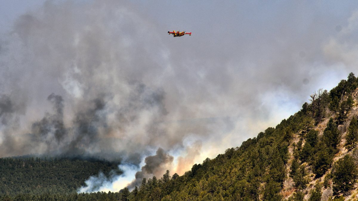 Biden Declares Disaster in New Mexico for Largest Wildfire in US – NBC New York - Vimarsana News