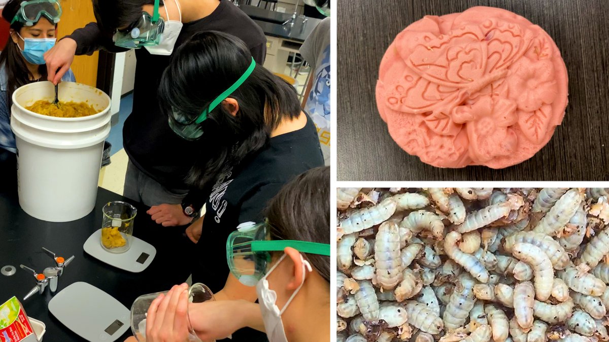 Climate Change: NJ Students Win National Competition Combating Food Waste – NBC New York - Vimarsana News