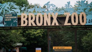 the bronx zoo sign generic