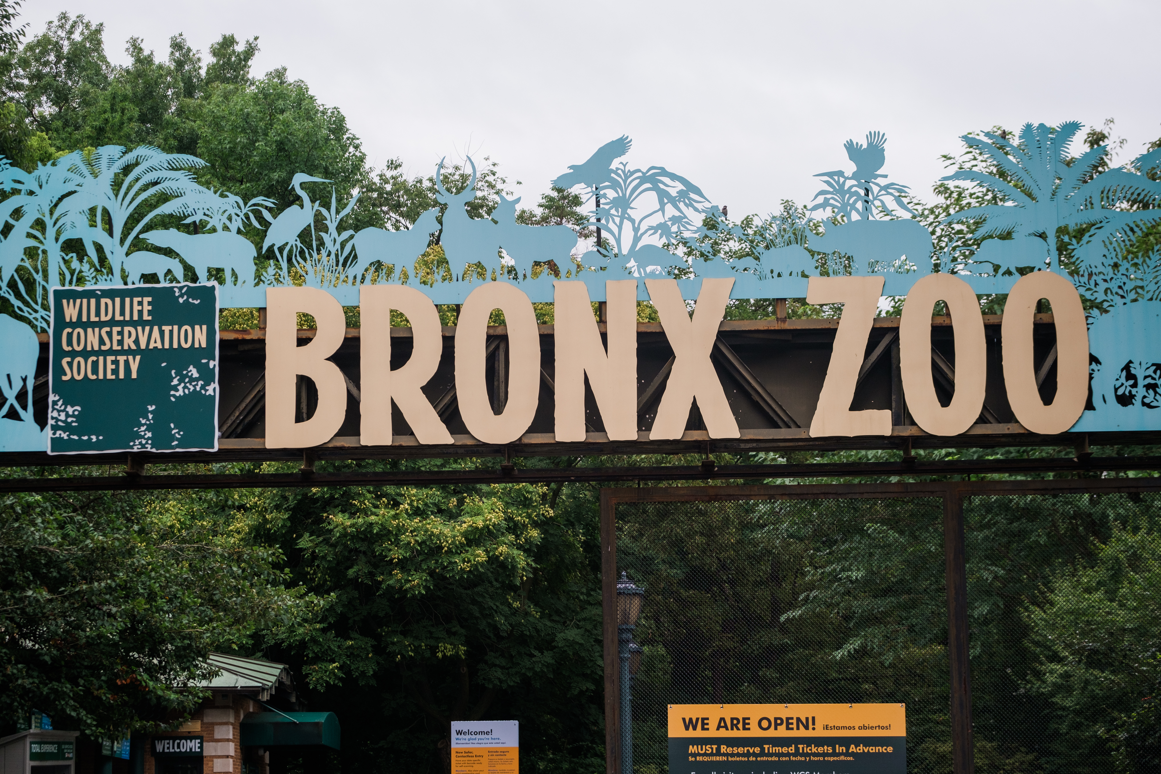 the bronx zoo sign generic
