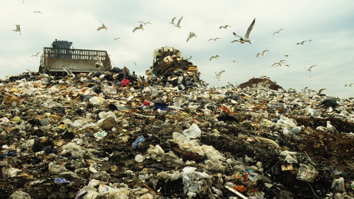 Staten Island News: Fresh Kills Landfill Officially Closes – NBC New York