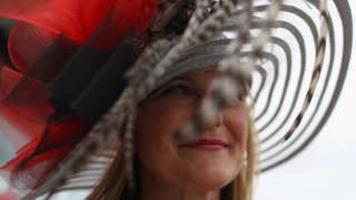 A race fan wearing a hat looks on the 142nd running of the Preakness Stakes