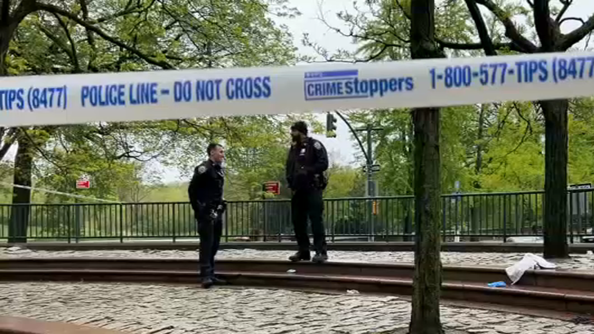 2 Boys Wounded in Shooting in Central Park: NYPD