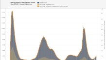 ny hospitalizations weds update