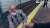 Caught on Camera: Cops Rescue Blind Man From Subway Track