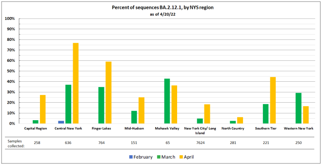 percent of sequences by NY region