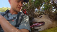 It's The First Person To Walk Around The World With A Dog!