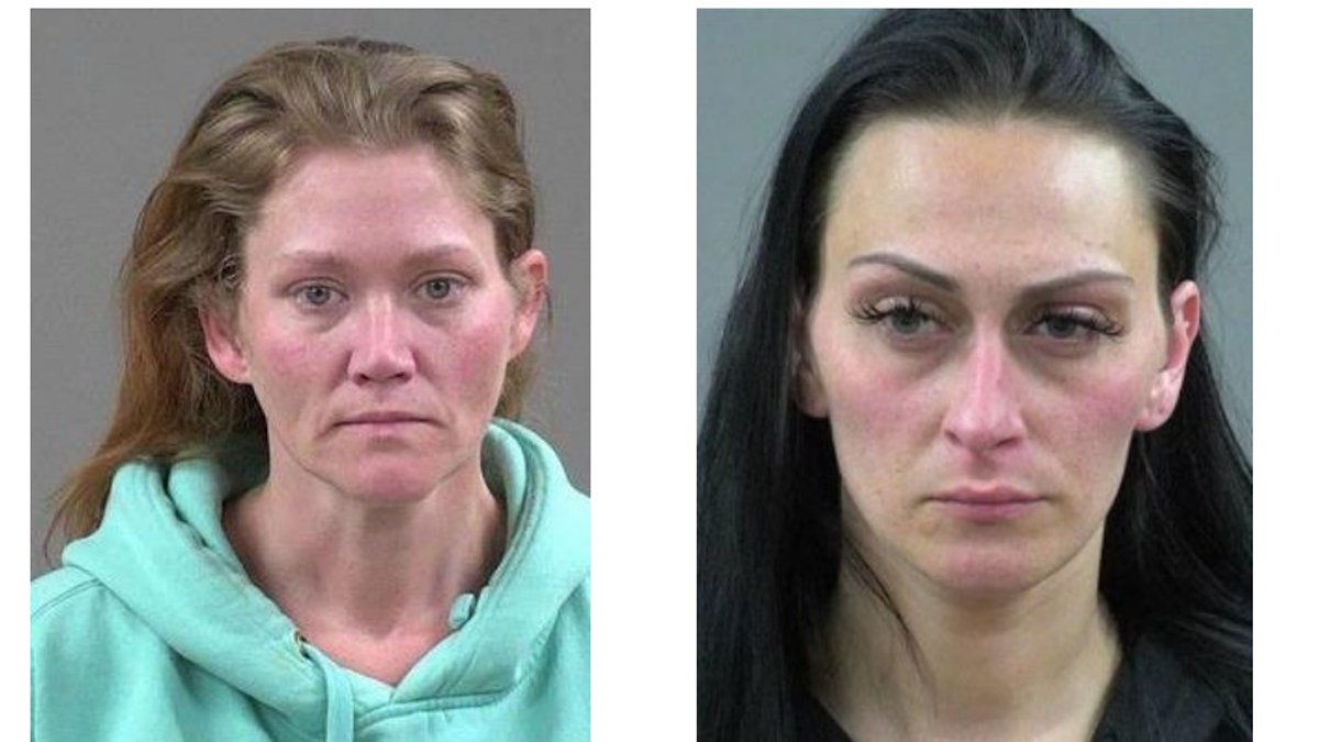 Wayne NJ Fetus Discovery: Nicole Tsentas, Amanda Walker Arrested – NBC New York - Vimarsana News