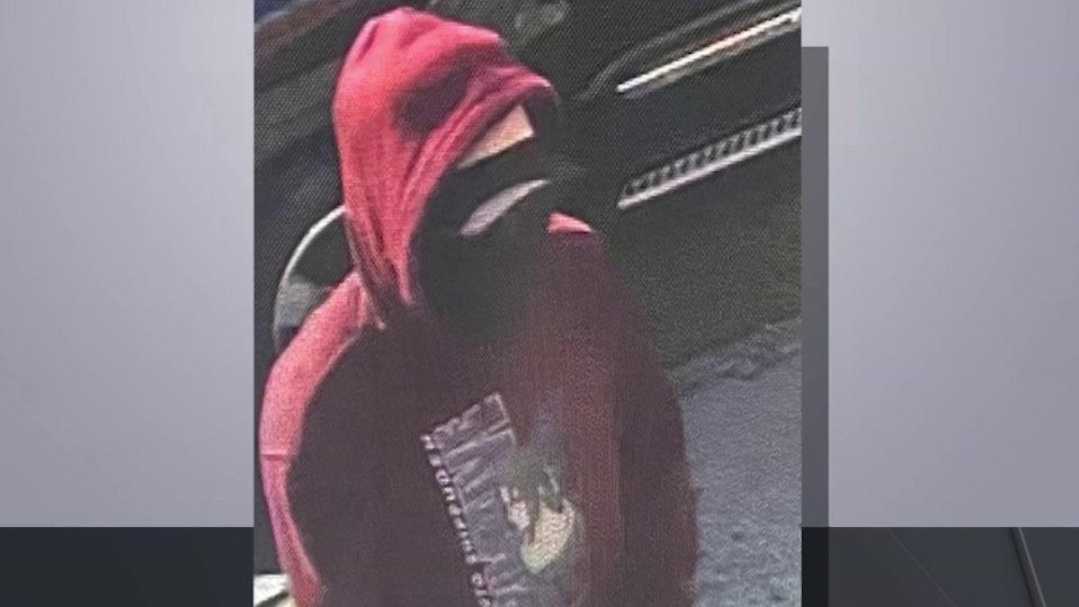 Search for Suspect Who Raped Woman Inside Bronx Park – NBC New York