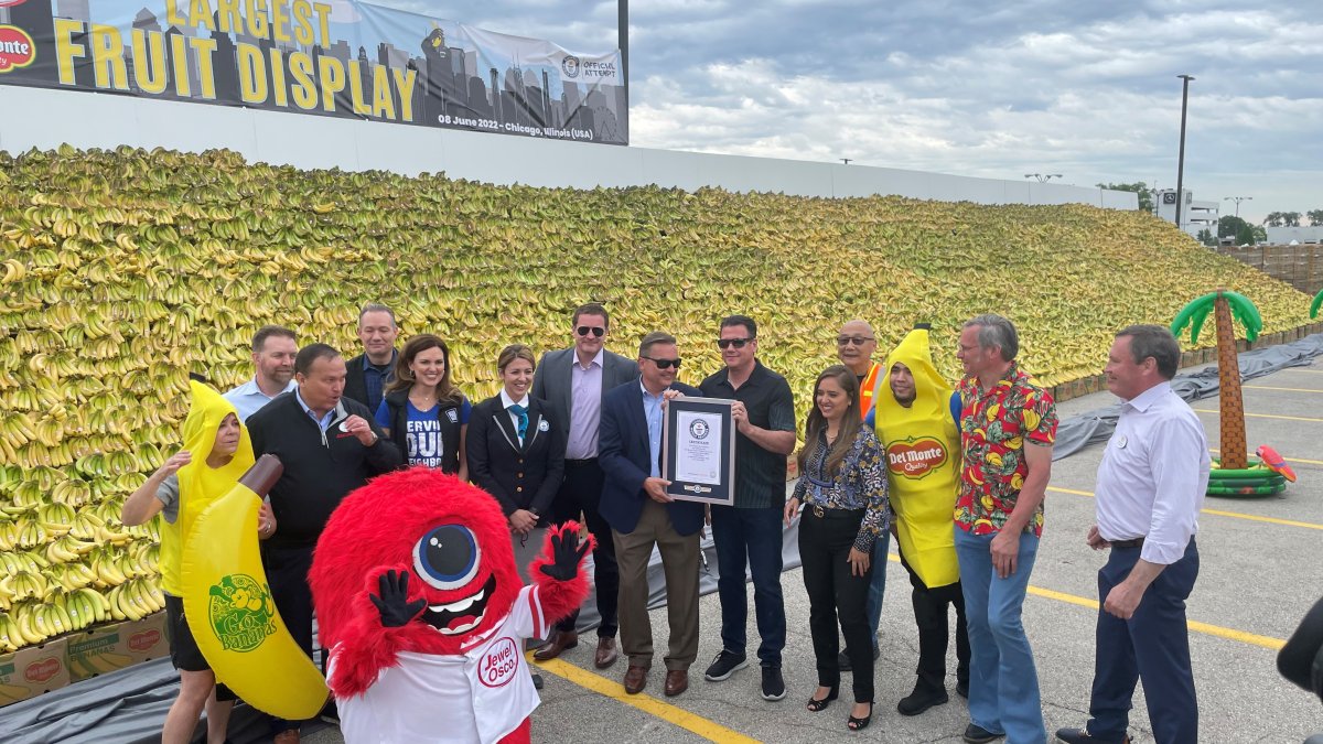 A 70,000 Pound Banana Display in a Chicago Suburb Just Broke a Guinness World Record - Vimarsana News