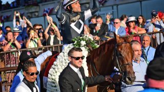 Elmont, N.Y.: Sir Winston ridden by Jockey Joel Rosario celebrates on his way to the winner’s circle after winning the 151st running of the Belmont Stakes at Belmont Park in Elmont, New York on June 8, 2019.