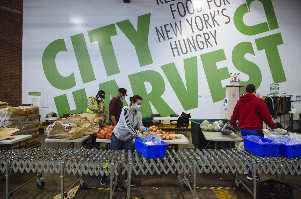 Camp City Harvest Kicks Off Today at Pier 61 in NYC – NBC New York - Vimarsana News