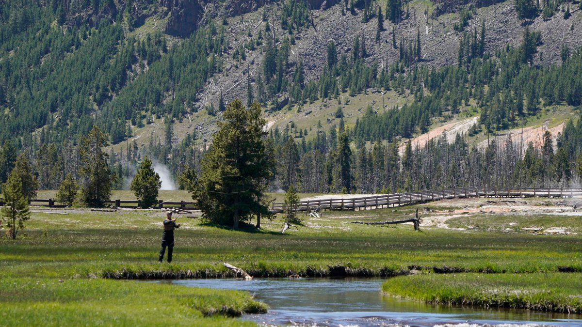Much of Northern Yellowstone Park to Reopen Saturday - Vimarsana News