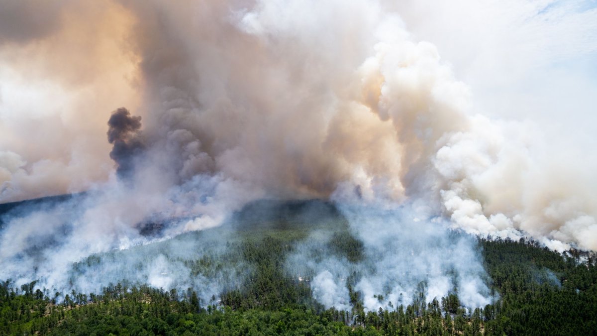 Illegal Campfire Possible Cause of Pine Barrens Wildfire: NJ Officials – NBC New York - Vimarsana News