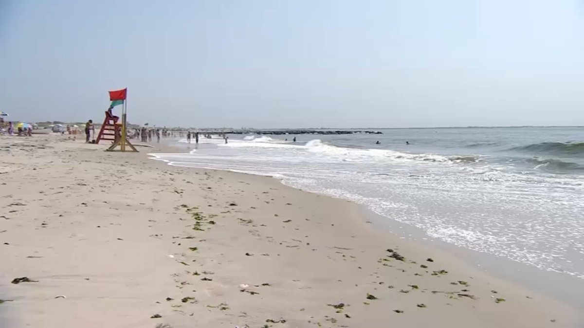 Shark Sightings Lead Hempstead Bay Community to Come Up With Plan – NBC New York - Vimarsana News