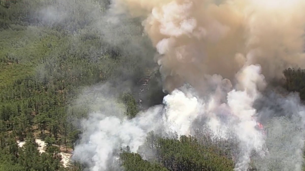 NJ Firefighters Battle Massive Wildfire in Wharton State Forest in Washington Township, Burlington County – NBC New York - Vimarsana News