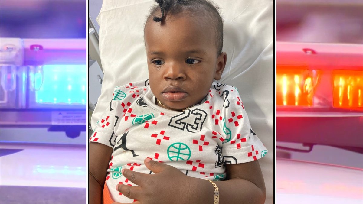 Bronx News: Toddler Found at Olmstead Avenue Intersection Alone – NBC ...