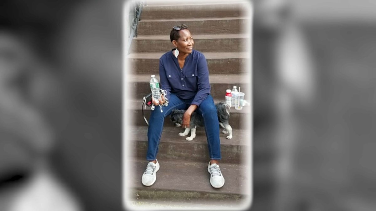 Brooklyn Boy Suffers Brain Bleed, Grandmother Dies in Wreck – NBC New York - Vimarsana News