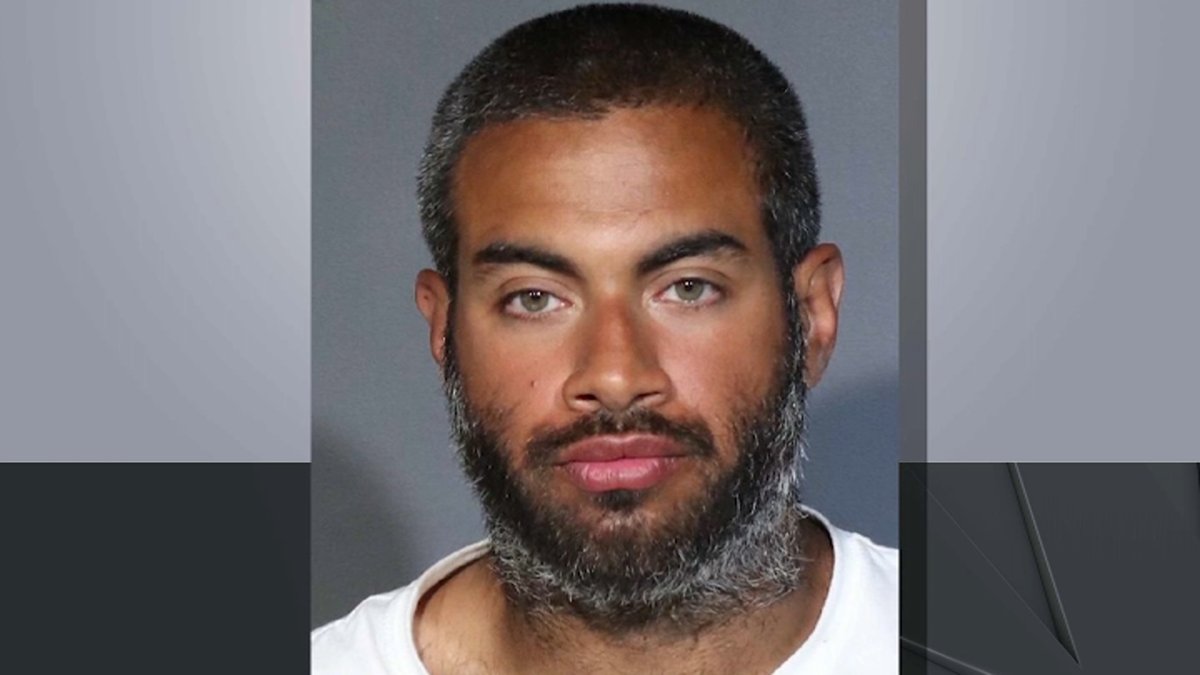 7 Train Stabbing: Suspect Identified in 2 Attacks on Same Train Line ...
