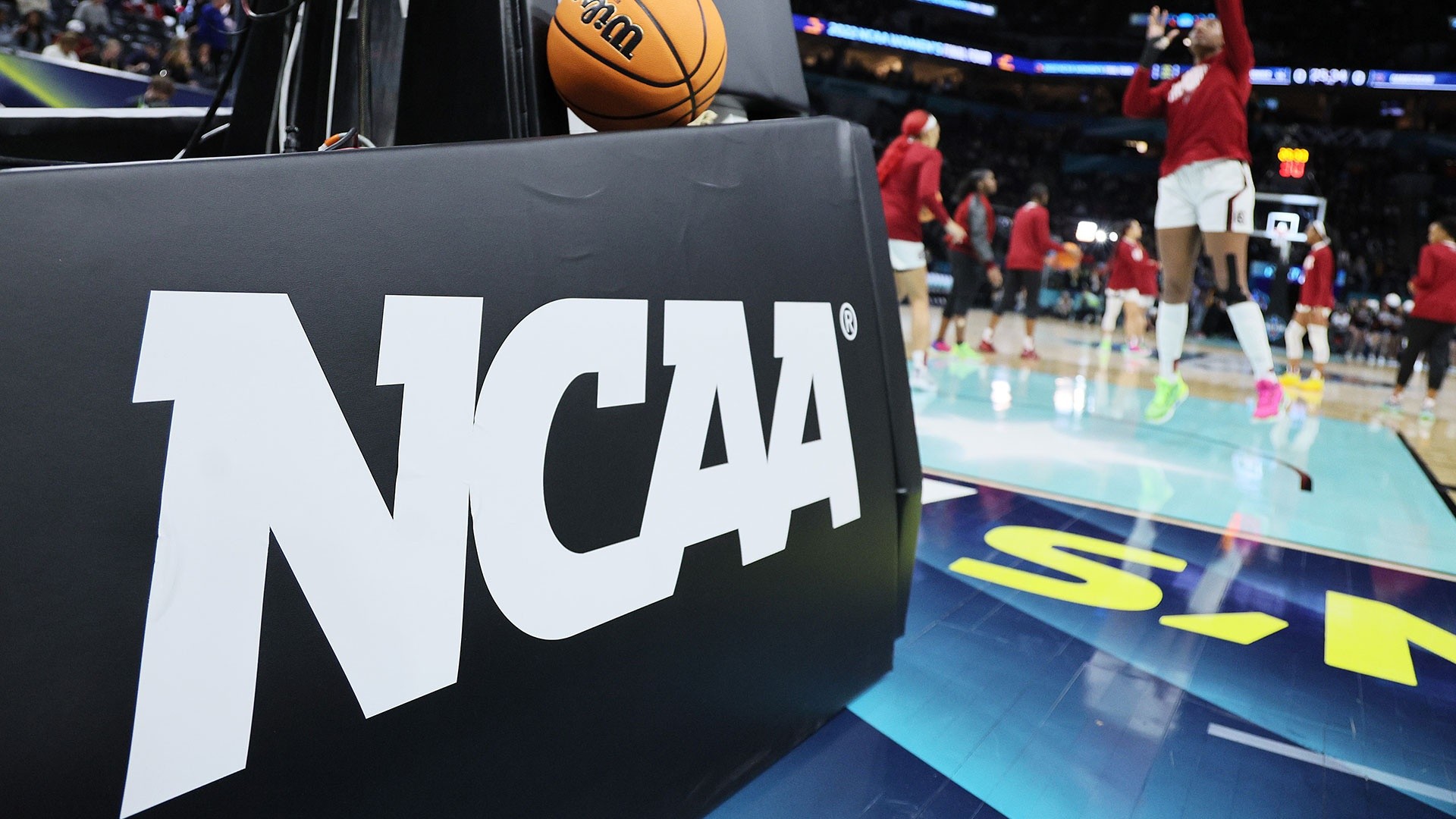 What The NCAA Transfer Portal Is And How It Works – NBC New York