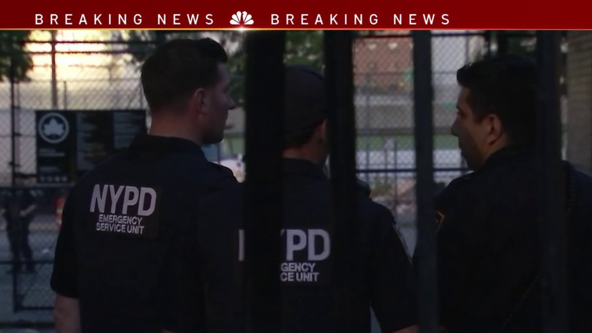 Teen Girls Hit by Stray Bullets at Bronx Playground – NBC New York