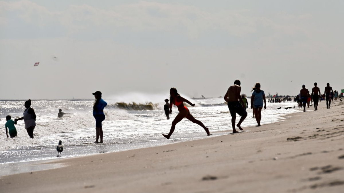 Jones Beach Shark Attack? Swimmer Suffers Laceration in Ocean NBC New