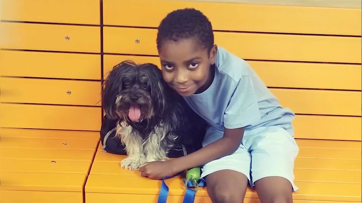 Family Questions Police Role in NYC Rampage That Killed Grandma, Left Boy in Coma - Vimarsana News