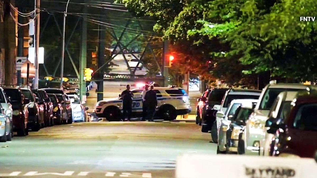 Bronx Playground Shooting 2 Children Wounded in Stebbins Avenue Gunfire NBC New York