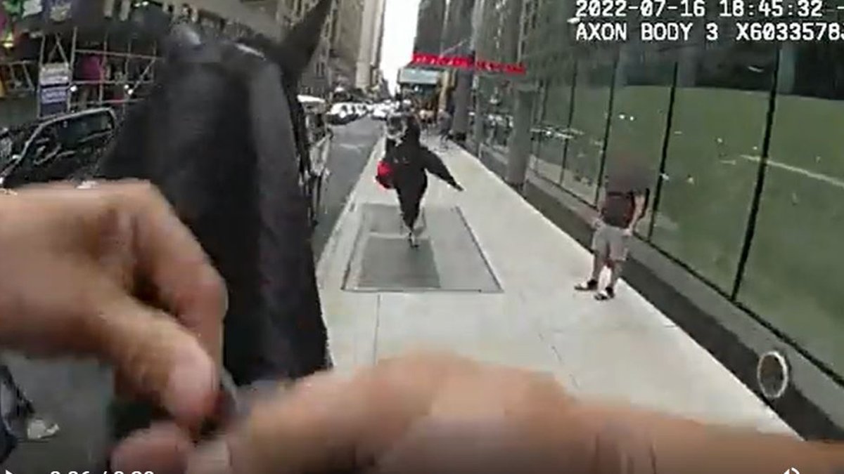 Times Square Horse Chase Caught on Camera – NBC New York
