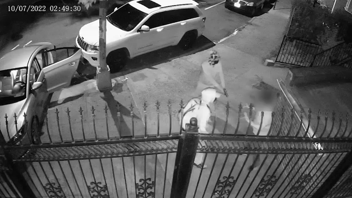 Queens Carjacking Fail After Driver Stands Ground NYPD NBC New York