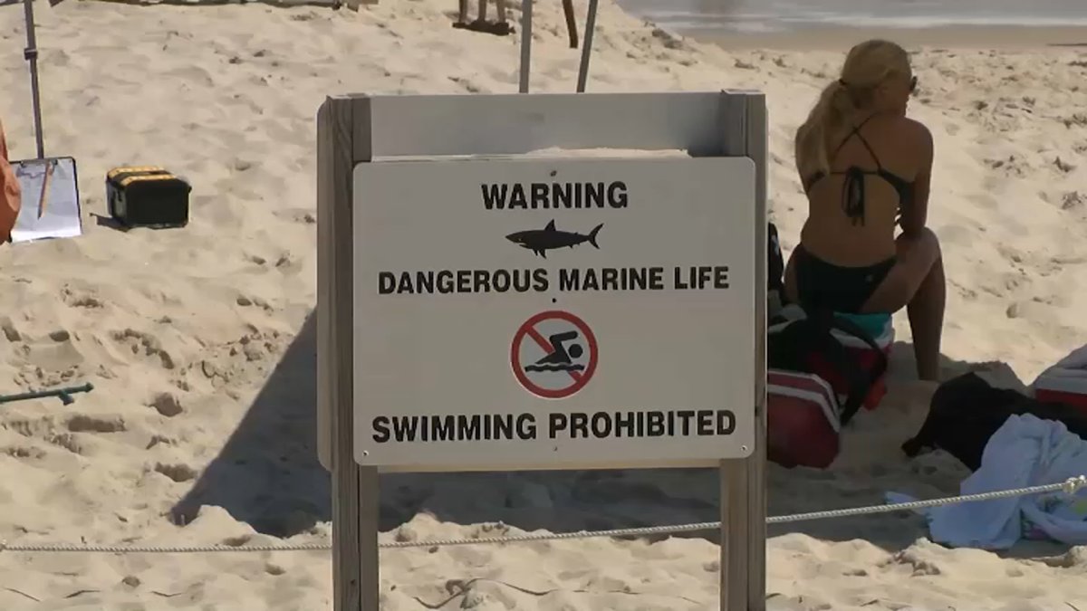 Suffolk Beaches Closed for Shark Bite – NBC New York - Vimarsana News