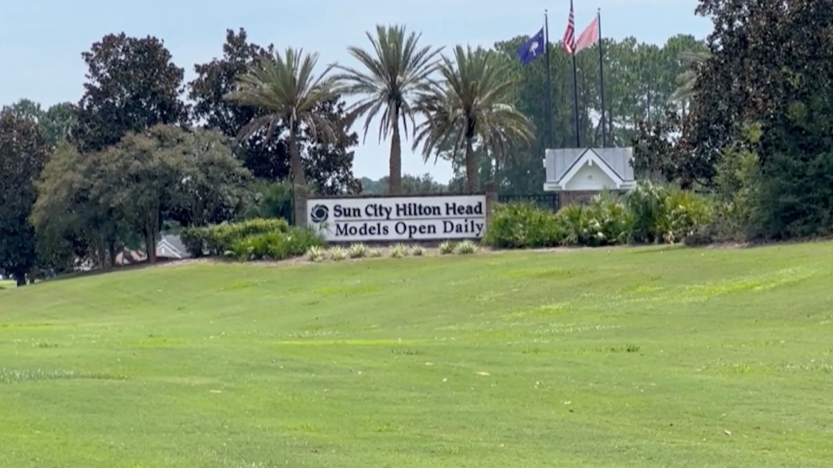88-Year-Old Killed in Alligator Attack Near Hilton Head, South Carolina – NBC New York - Vimarsana News