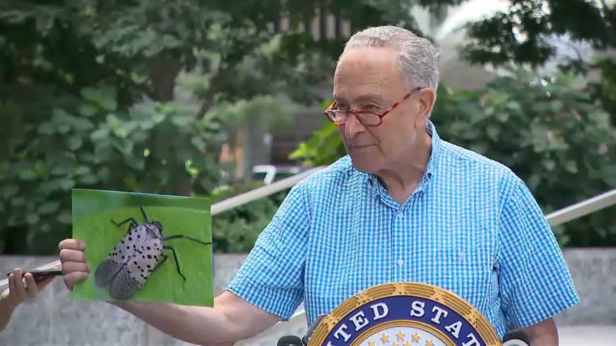 Schumer Wants to Pump Extra $22M Into Spotted Lanternfly Fight - NBC New York