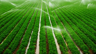 U.S. Farms Waste a Lot of Water — But This Irrigation Tech Could Help