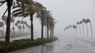 Palm trees blow in the wind from Hurricane Ian on September 28, 2022 in Sarasota, Florida. Ian is hitting the area as a likely Category 4 hurricane.