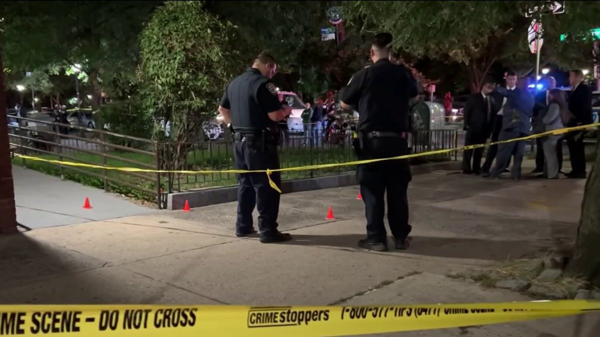 17-Year-Old Girl Killed by Stray Bullet in Brooklyn – NBC New York