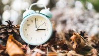 Close up of Vintage white alarm clock in dry autum leaves and pine cones in forest. Fall Back Time Change concept. High quality photo