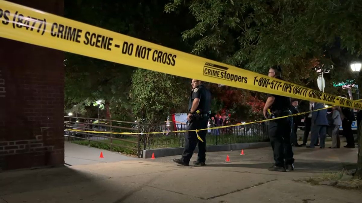 Brooklyn Crime: Teen Girl Dies After Shot in Face in Crown Heights ...