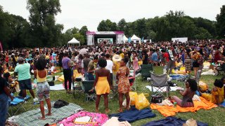 Crowds of people come out to Central Park for CURLFEST in 2018