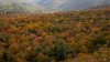 Love Fall Foliage? NY Is Offering a Free Shuttle Service Starting This Weekend