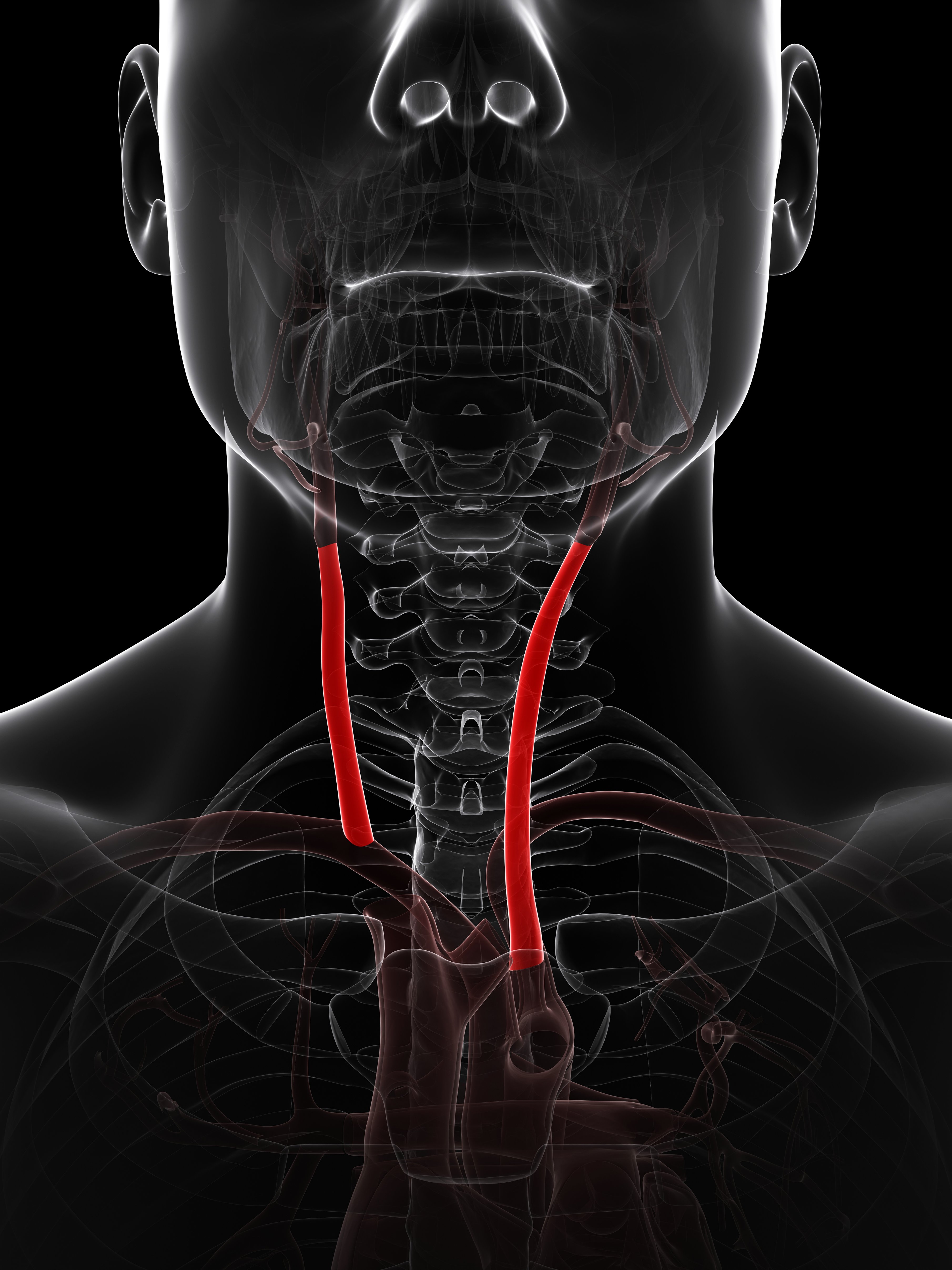 Boy Was Near Death After Metal Straw Pierced Throat, Brain Artery – NBC ...