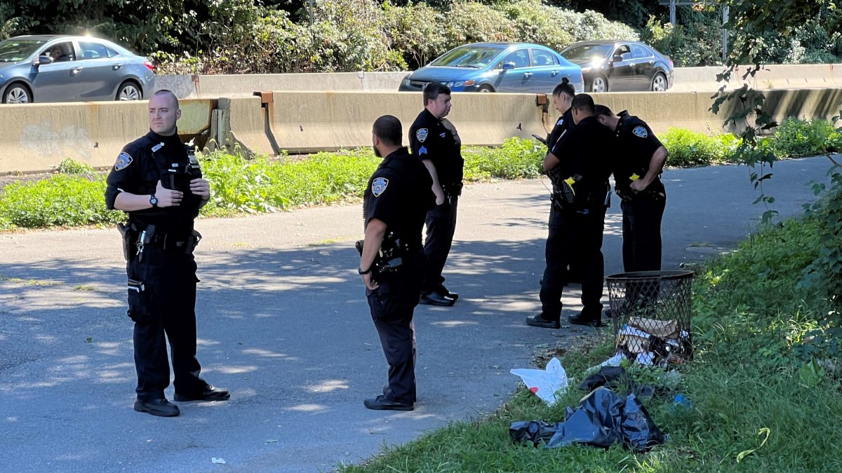 Woman Running In Inwood Park Sexually Assaulted Saturday Nypd Nbc New York 