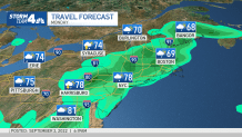 travel forecast 2