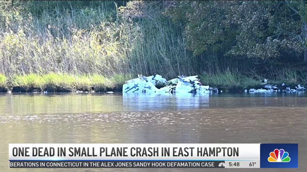 Pilot Dead in Small Plane Crash in East Hampton – NBC New York