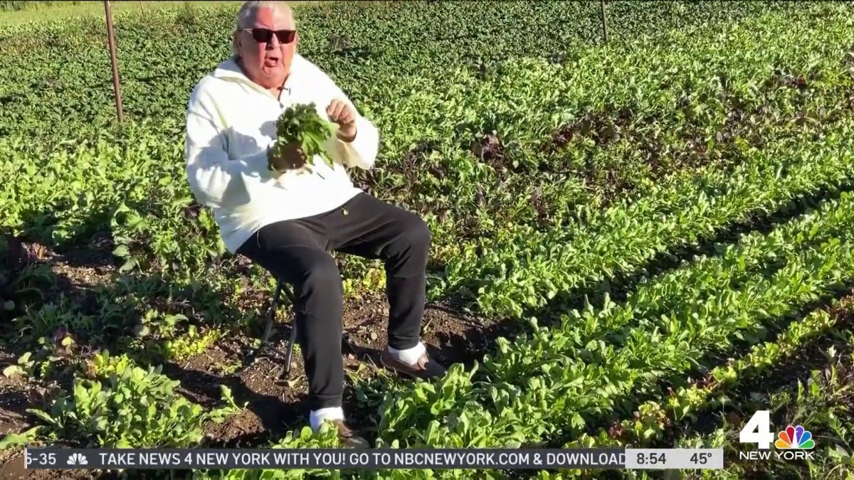 Produce Pete Arugula NBC New York