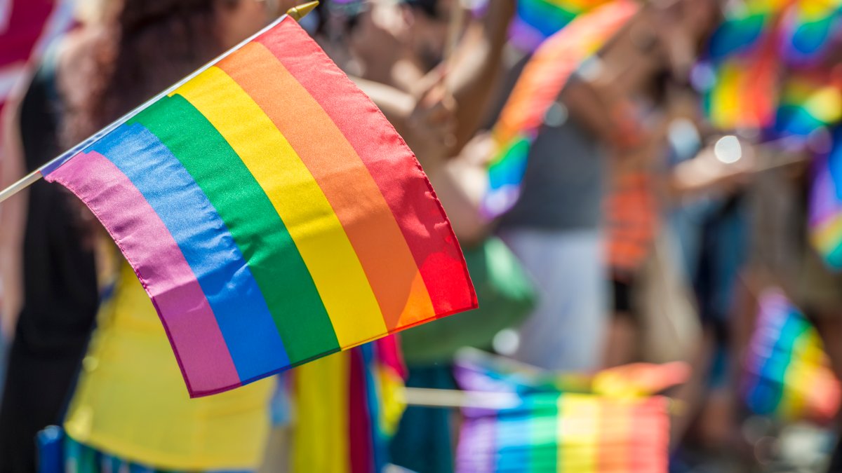 National Coming Out Day 2023: What is it and how to celebrate – NBC New York - Vimarsana News