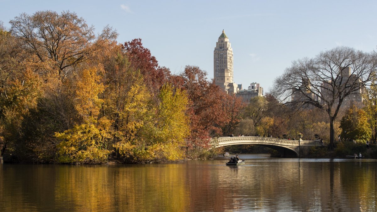 Fall Foliage Map Shows Where To See Best Views In NYC’s Central Park