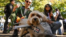 World Series: New York Mets puppy parade held in Manhattan